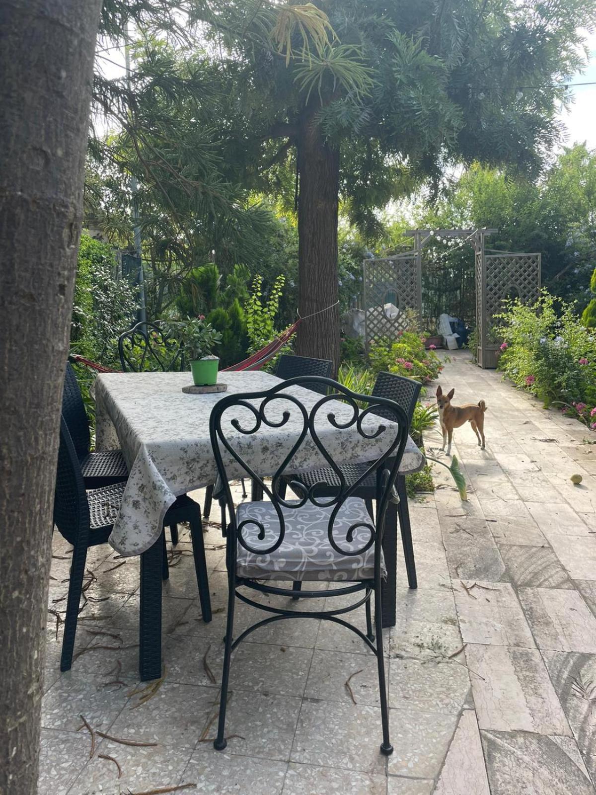 Secret Garden Villa Giovinazzo Exterior photo